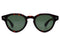 S127 PANDA col.Tortoise / G15